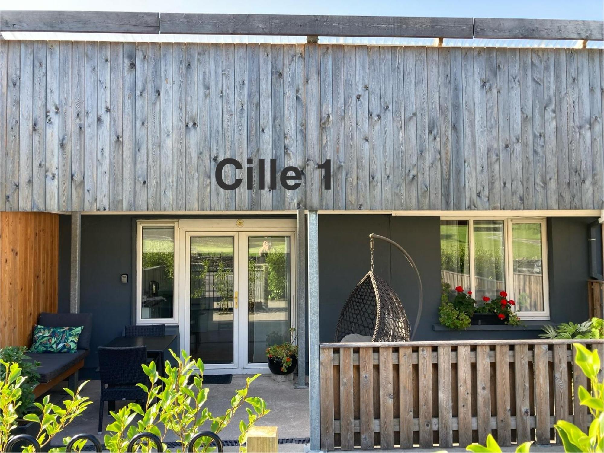 Cille Apartments, Ballyferriter Village Bagian luar foto